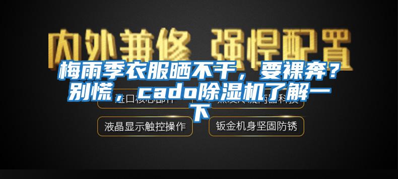梅雨季衣服曬不干，要裸奔？別慌，cado除濕機了解一下