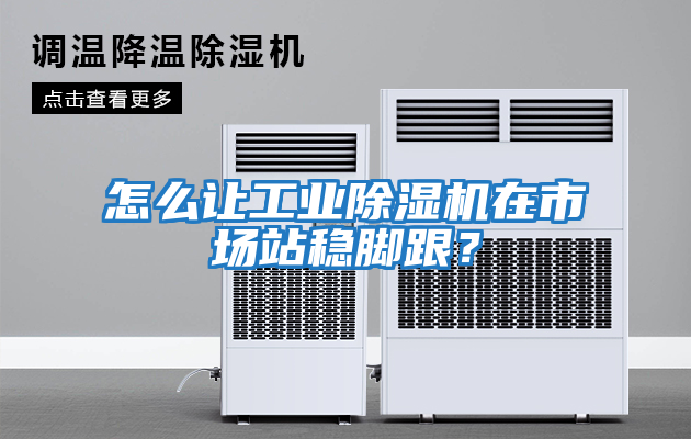 怎么讓工業(yè)除濕機(jī)在市場(chǎng)站穩(wěn)腳跟？
