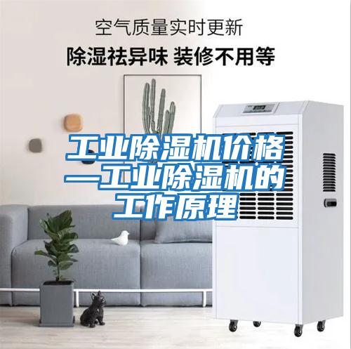 工業(yè)除濕機價格—工業(yè)除濕機的工作原理