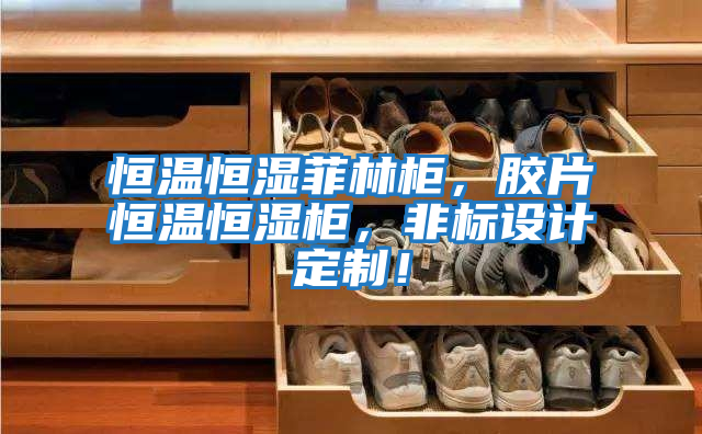 恒溫恒濕菲林柜，膠片恒溫恒濕柜，非標設計定制！