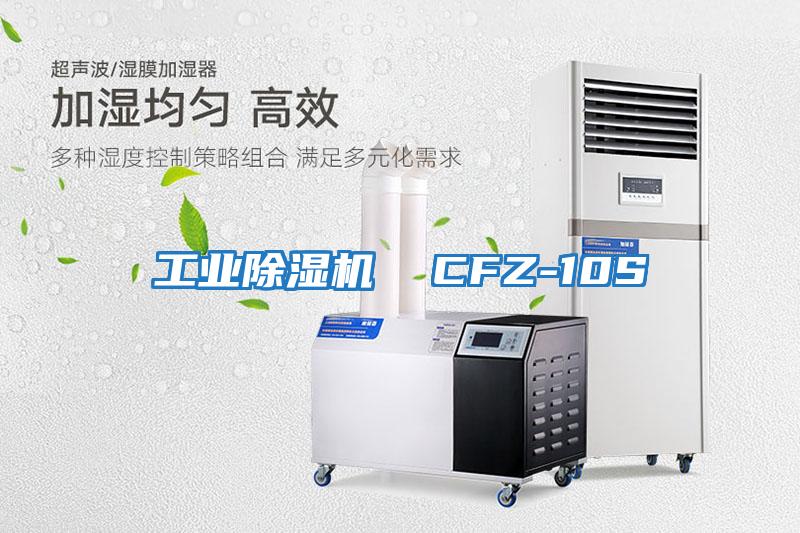 工業(yè)除濕機(jī) CFZ-10S