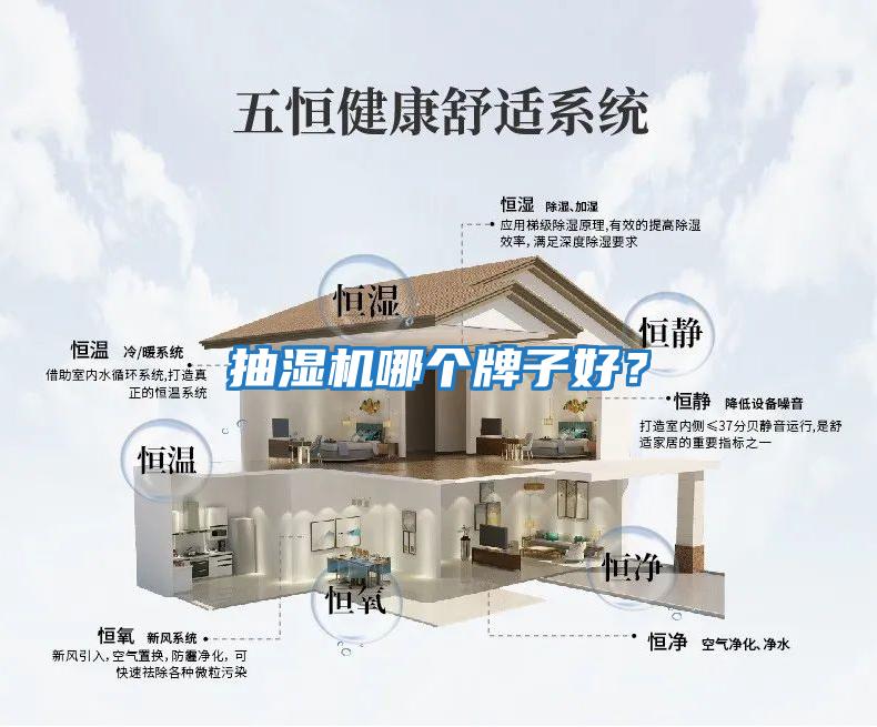 抽濕機(jī)哪個牌子好？