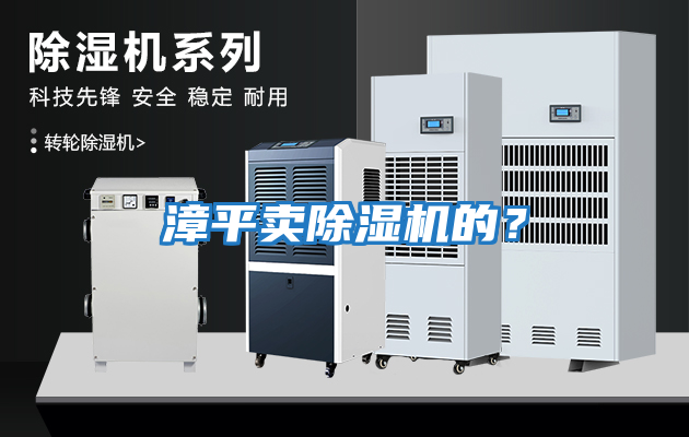 漳平賣(mài)除濕機(jī)的？
