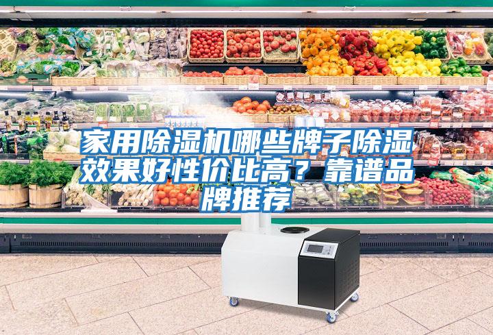家用除濕機哪些牌子除濕效果好性價比高？靠譜品牌推薦