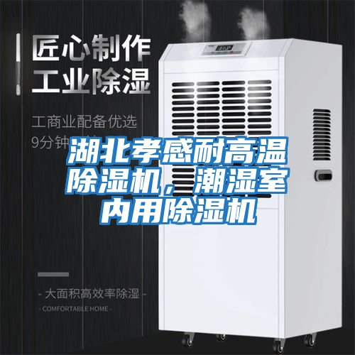 湖北孝感耐高溫除濕機,潮濕室內用除濕機
