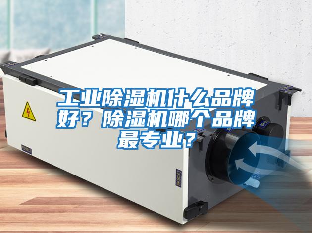 工業除濕機什么品牌好？除濕機哪個品牌最專業？