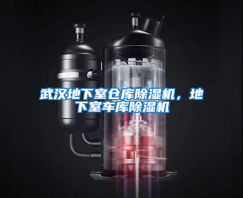 武漢地下室倉庫除濕機，地下室車庫除濕機