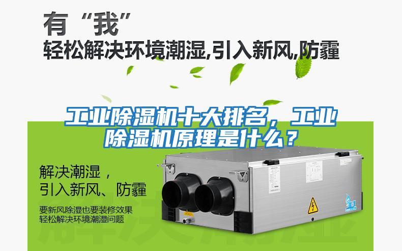 工業(yè)除濕機十大排名，工業(yè)除濕機原理是什么？