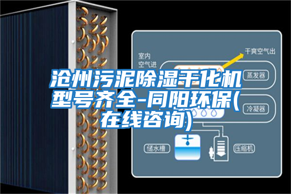 滄州污泥除濕干化機(jī)型號(hào)齊全-同陽環(huán)保(在線咨詢)