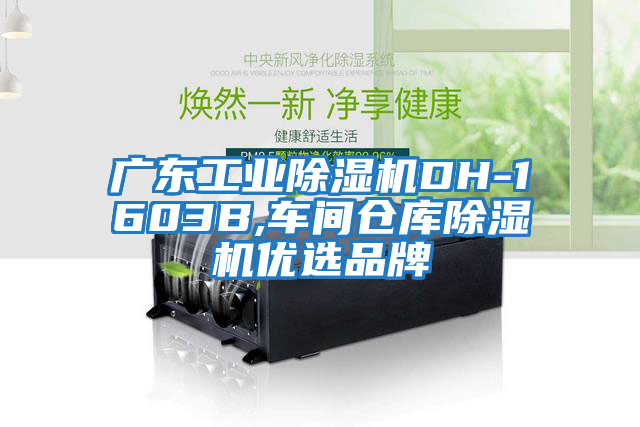 廣東工業(yè)除濕機DH-1603B,車間倉庫除濕機優(yōu)選品牌