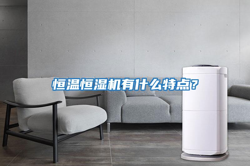 恒溫恒濕機(jī)有什么特點(diǎn)？