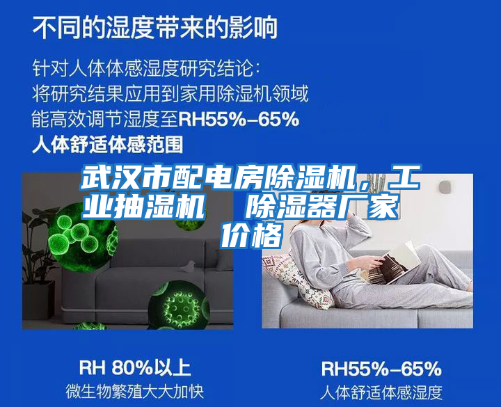 武漢市配電房除濕機(jī)，工業(yè)抽濕機(jī)  除濕器廠(chǎng)家 價(jià)格