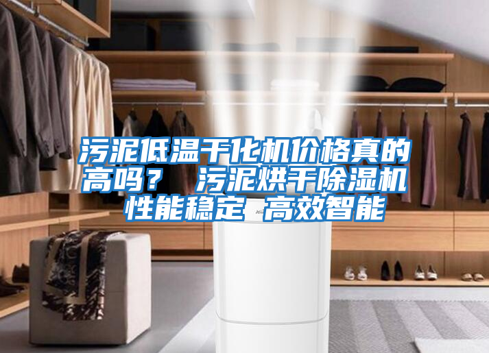 污泥低溫干化機價格真的高嗎？ 污泥烘干除濕機 性能穩(wěn)定 高效智能