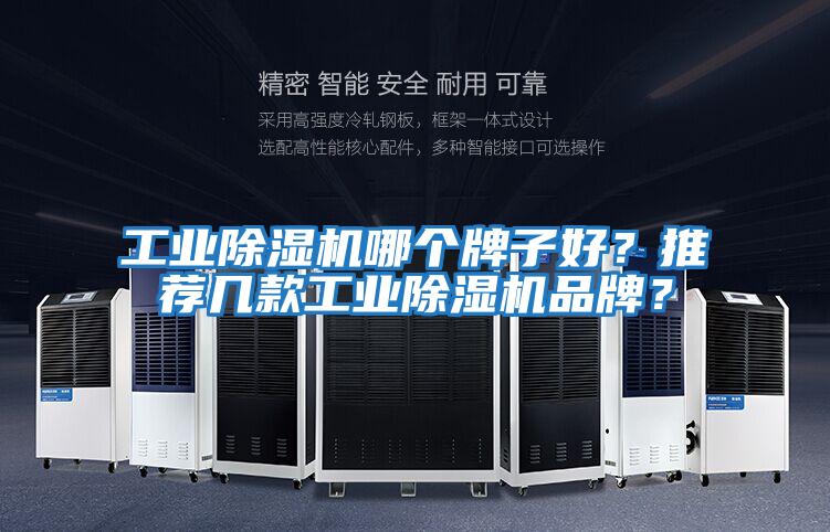 工業除濕機哪個牌子好？推薦幾款工業除濕機品牌？
