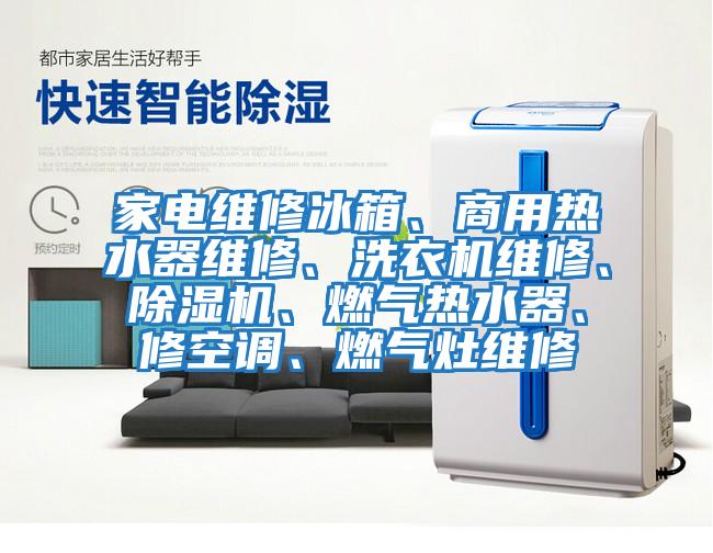 家電維修冰箱、商用熱水器維修、洗衣機(jī)維修、除濕機(jī)、燃?xì)鉄崴?、修空調(diào)、燃?xì)庠罹S修