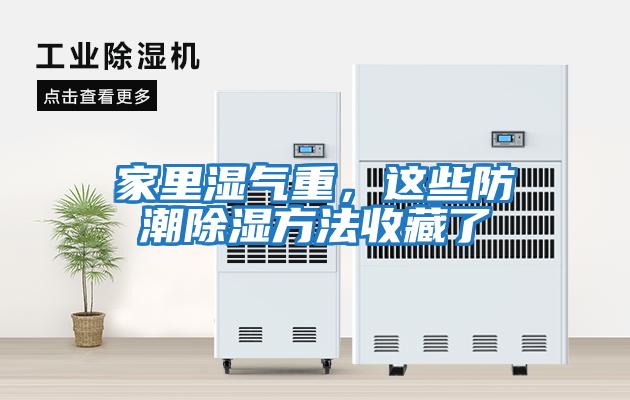 家里濕氣重，這些防潮除濕方法收藏了