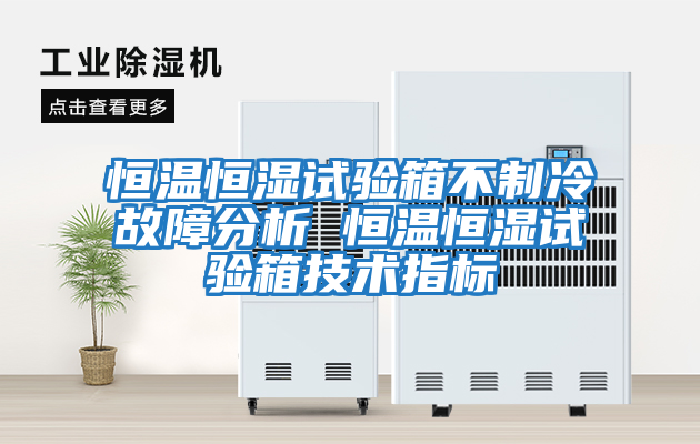恒溫恒濕試驗箱不制冷故障分析 恒溫恒濕試驗箱技術(shù)指標