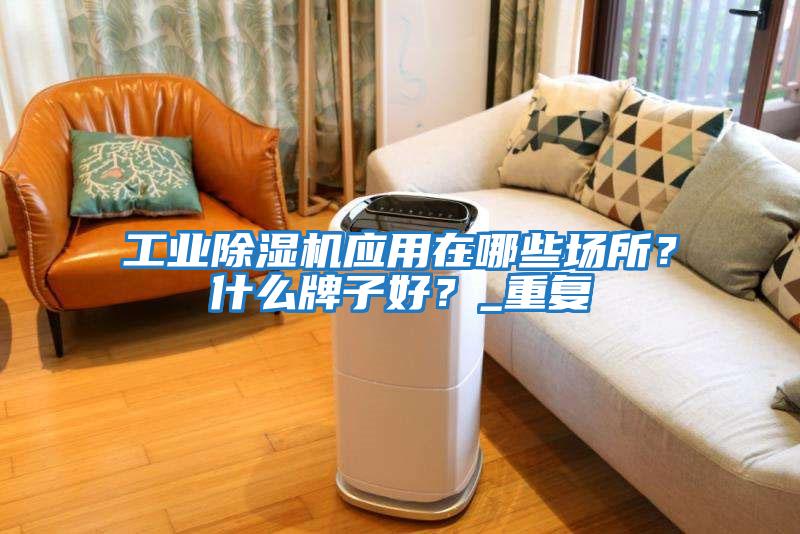 工業除濕機應用在哪些場所？什么牌子好？_重復