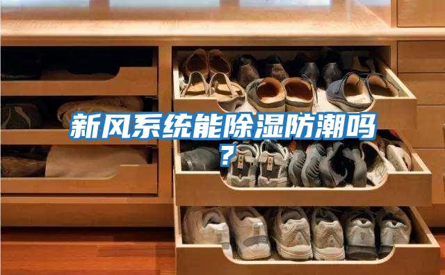 新風系統能除濕防潮嗎？