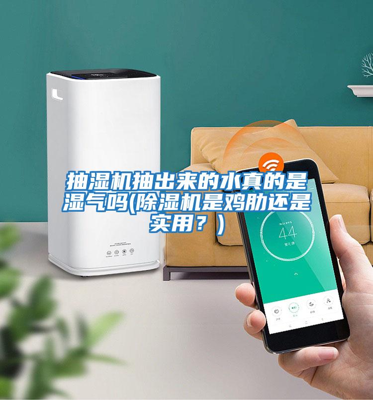 抽濕機(jī)抽出來(lái)的水真的是濕氣嗎(除濕機(jī)是雞肋還是實(shí)用？)
