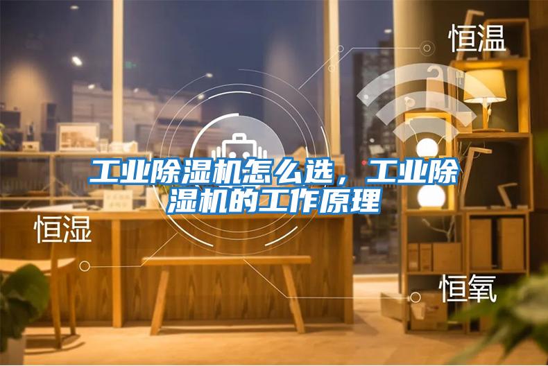 工業(yè)除濕機怎么選，工業(yè)除濕機的工作原理