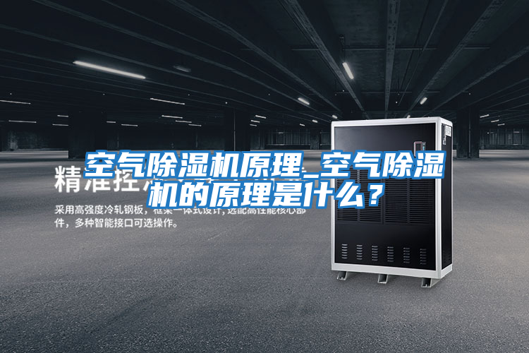 空氣除濕機原理_空氣除濕機的原理是什么？