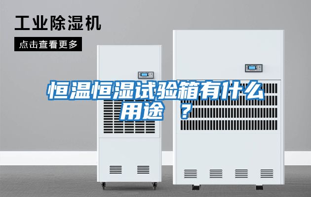 恒溫恒濕試驗(yàn)箱有什么用途 ？