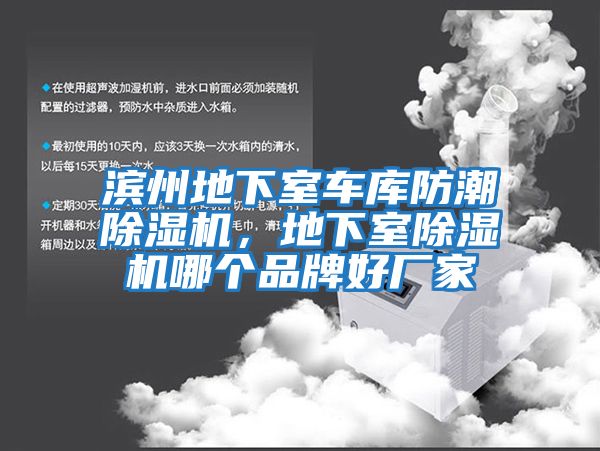 濱州地下室車庫防潮除濕機，地下室除濕機哪個品牌好廠家