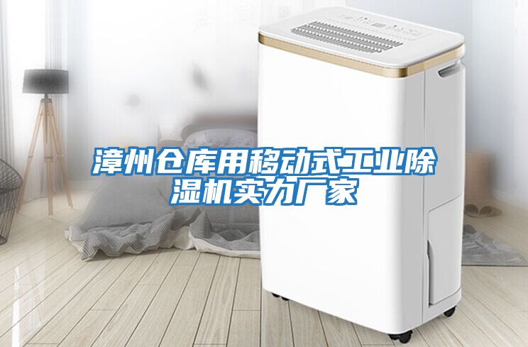 漳州倉庫用移動(dòng)式工業(yè)除濕機(jī)實(shí)力廠家
