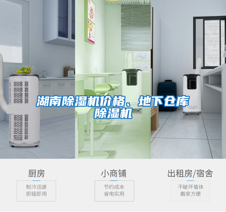 湖南除濕機(jī)價(jià)格、地下倉庫除濕機(jī)