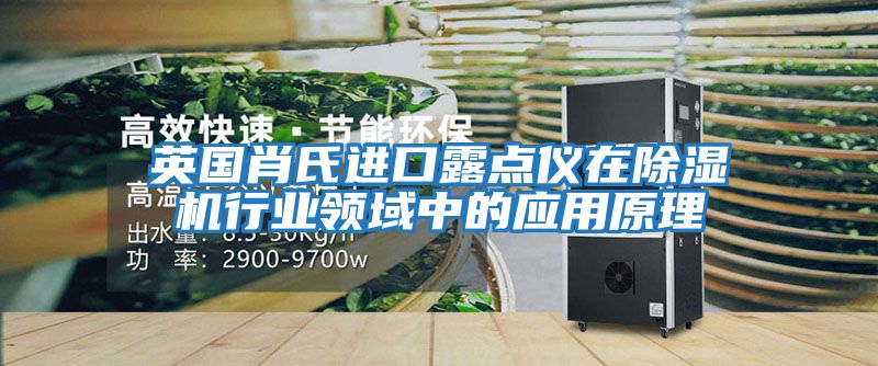 英國肖氏進口露點儀在除濕機行業(yè)領域中的應用原理