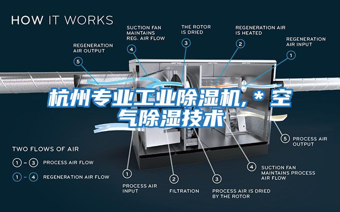 杭州專業(yè)工業(yè)除濕機,＊空氣除濕技術(shù)