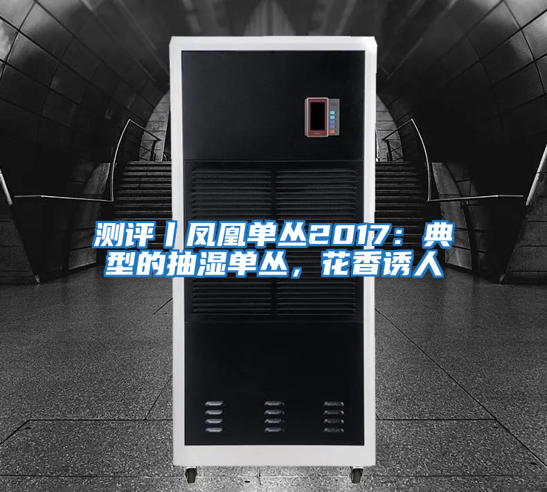 測評丨鳳凰單叢2017：典型的抽濕單叢，花香誘人