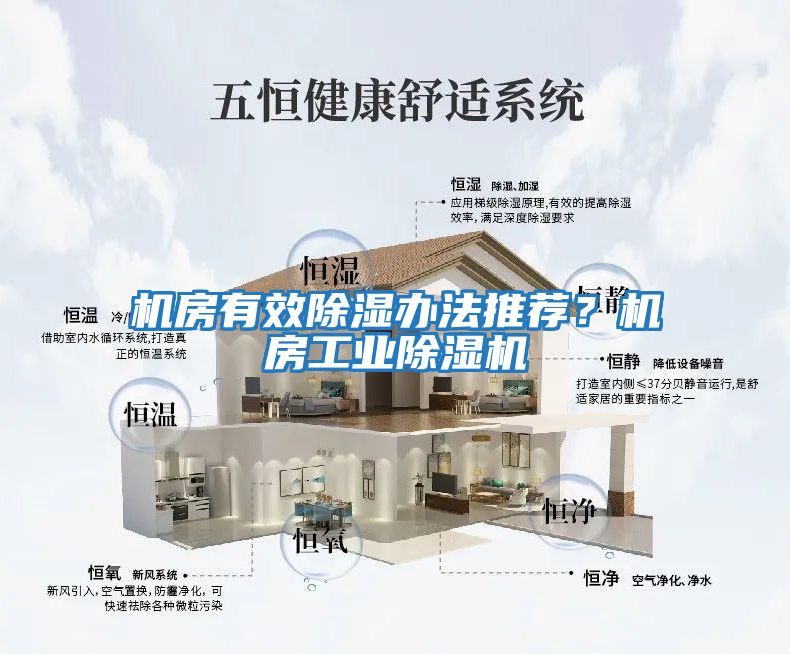 機房有效除濕辦法推薦？機房工業(yè)除濕機
