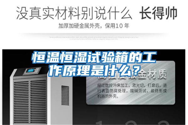 恒溫恒濕試驗箱的工作原理是什么？