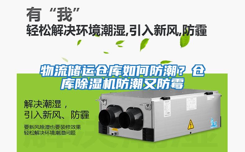 物流儲運倉庫如何防潮？倉庫除濕機(jī)防潮又防霉