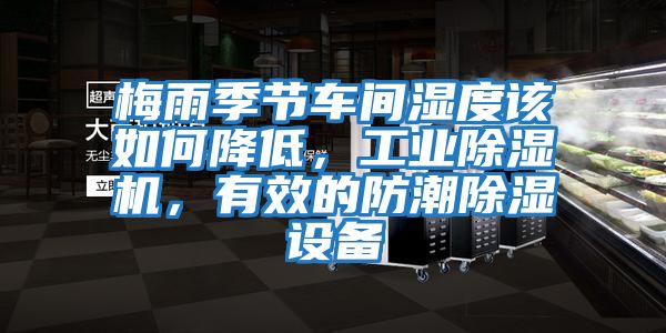 梅雨季節(jié)車間濕度該如何降低，工業(yè)除濕機，有效的防潮除濕設(shè)備
