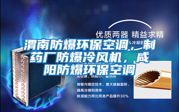 渭南防爆環(huán)?？照{(diào)，制藥廠防爆冷風(fēng)機，咸陽防爆環(huán)?？照{(diào)
