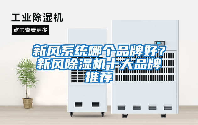 新風(fēng)系統(tǒng)哪個品牌好？新風(fēng)除濕機(jī)十大品牌推薦