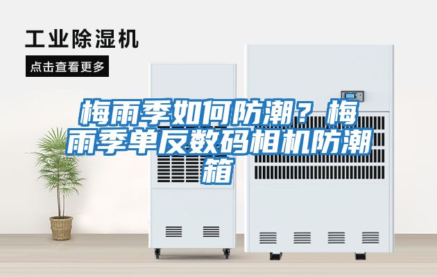 梅雨季如何防潮？梅雨季單反數碼相機防潮箱