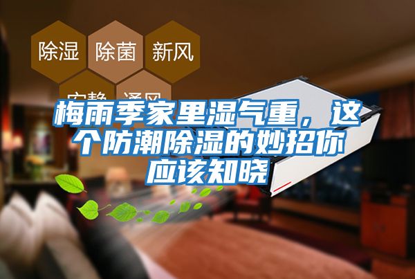 梅雨季家里濕氣重，這個防潮除濕的妙招你應該知曉