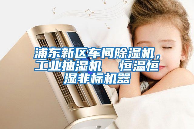 浦東新區(qū)車間除濕機，工業(yè)抽濕機  恒溫恒濕非標機器