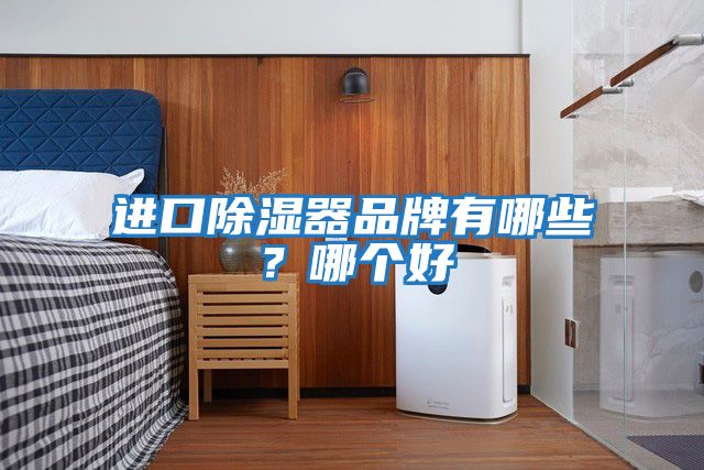 進(jìn)口除濕器品牌有哪些？哪個好