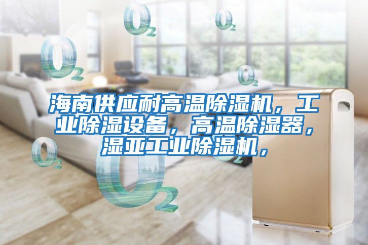 海南供應耐高溫除濕機，工業(yè)除濕設備，高溫除濕器，濕亞工業(yè)除濕機，