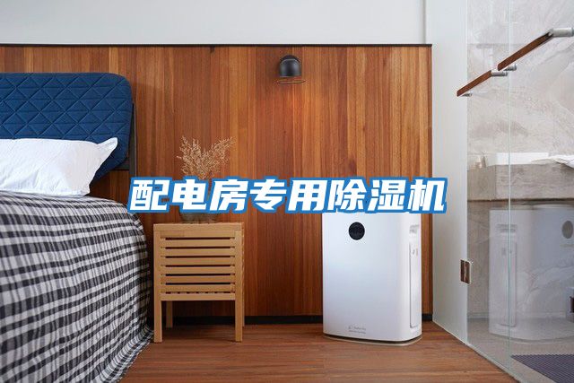 配電房專(zhuān)用除濕機(jī)