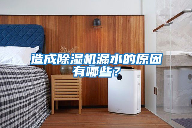 造成除濕機(jī)漏水的原因有哪些？