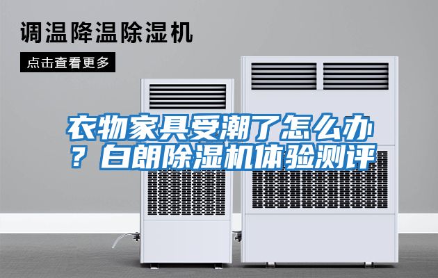 衣物家具受潮了怎么辦？白朗除濕機體驗測評