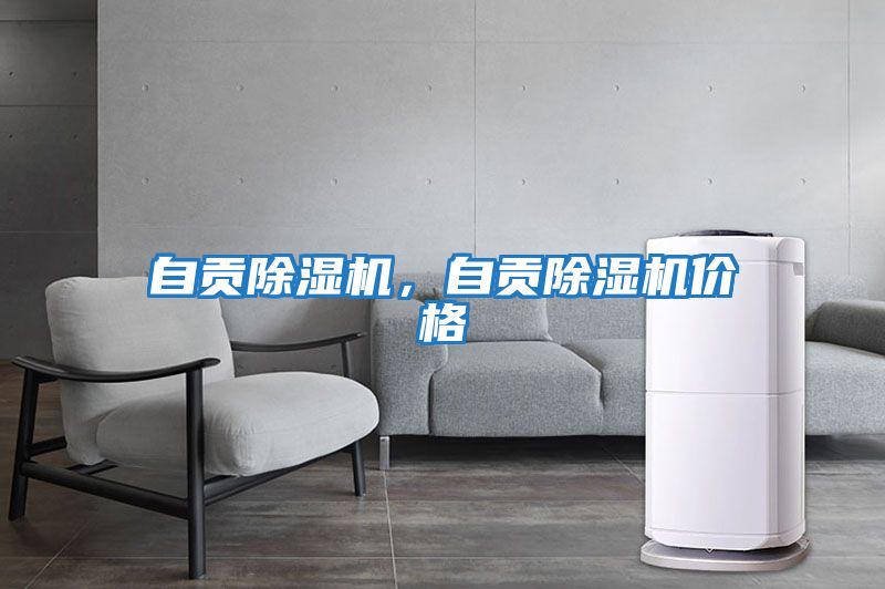 自貢除濕機，自貢除濕機價格