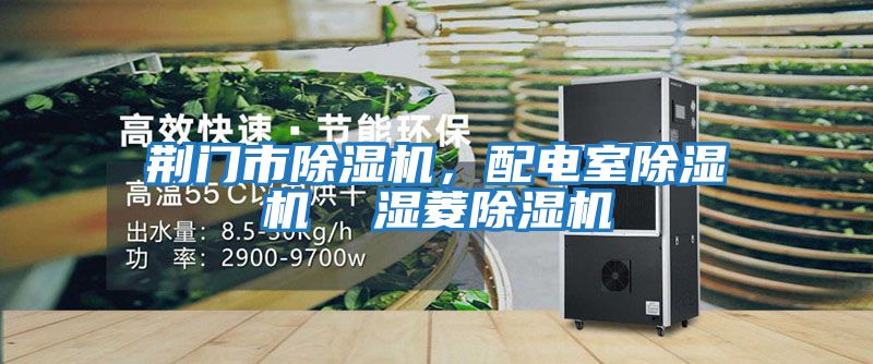 荊門市除濕機(jī)，配電室除濕機(jī)  濕菱除濕機(jī)