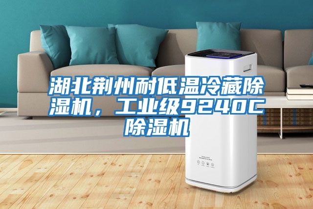 湖北荊州耐低溫冷藏除濕機(jī)，工業(yè)級9240C除濕機(jī)